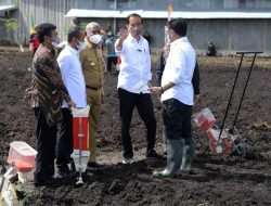 Presiden Ajak Petani Milenial Di Sorong Menjadi Motor Penggerak Pertanian Jagung