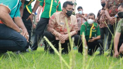 Serius  Benahi Stadion Teladan, Bobby Nasution Akan Selamatkan PSMS