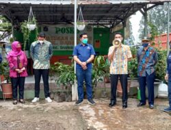 NasDem Jakarta Timur Rayakan Satu Dekade Partai NasDem Dengan Menanam Pohon