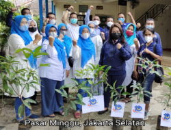 Gemuruh NasDem Rayakan Satu Dekade Partai NasDem Dengan Aksi Peduli Lingkung
