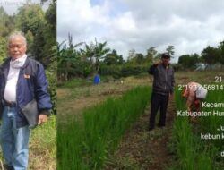 Masyarakat Parsingguran II Patok dan Tandai Tanah Masing-masing